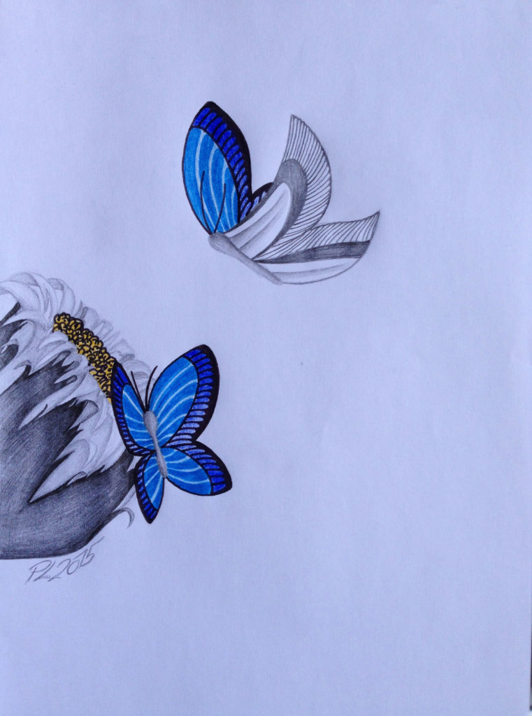 TwoBlueButterfly