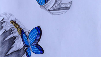 Two Blue Butterfly